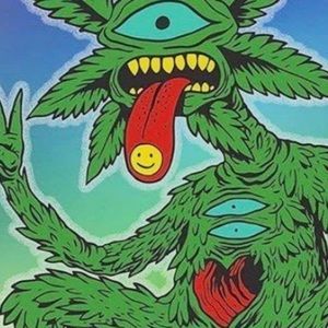 Meet your Posher, Nicholas